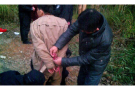 武清企业清欠服务